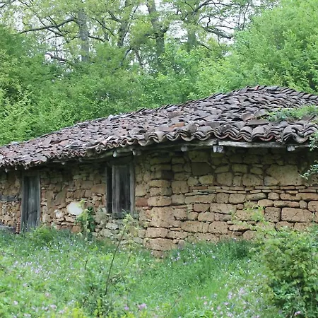 Hunting Asteya Θέρετρο *